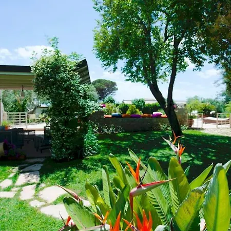 Stone House Tatil parkı *